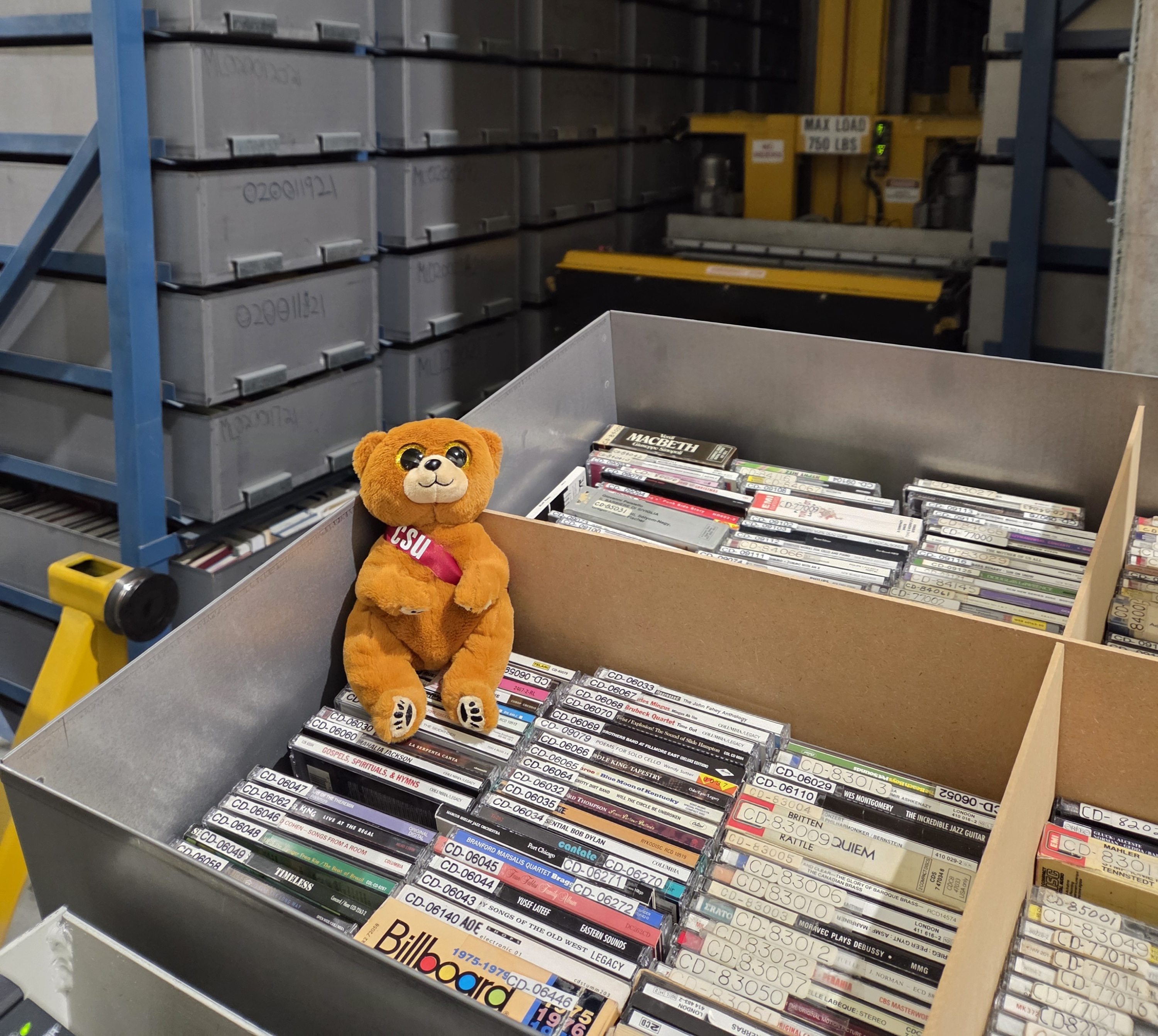 Big-eyed brown teddy bear sitting in a bin of CDs in the Library Retrieval System