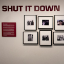 Gallery wall of framed black-and-white photos