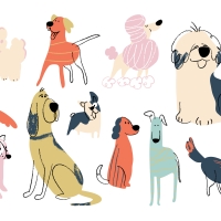 dog doodles