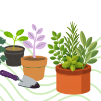Potted plants and a trowel with fresh earth
