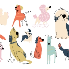 dog doodles