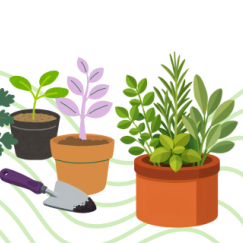 Potted plants and a trowel with fresh earth