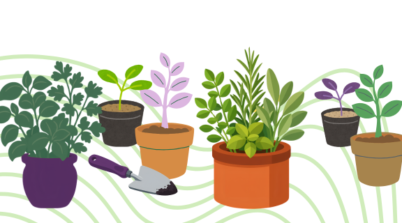 Potted plants and a trowel with fresh earth